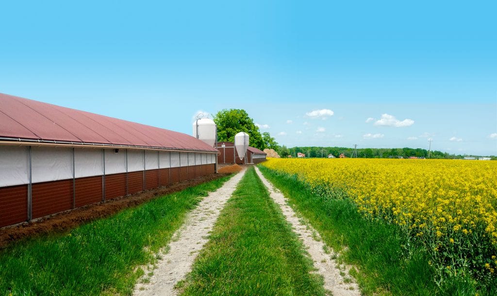 Bâche pour poulailler pour un confort optimal - Approdis