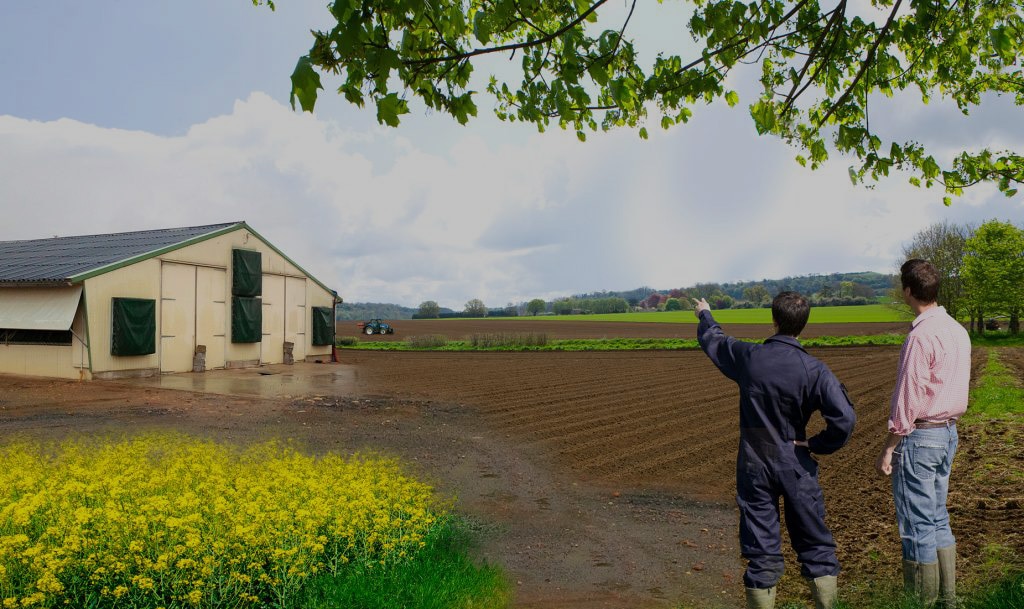 Matériel agricole éleveur poussin